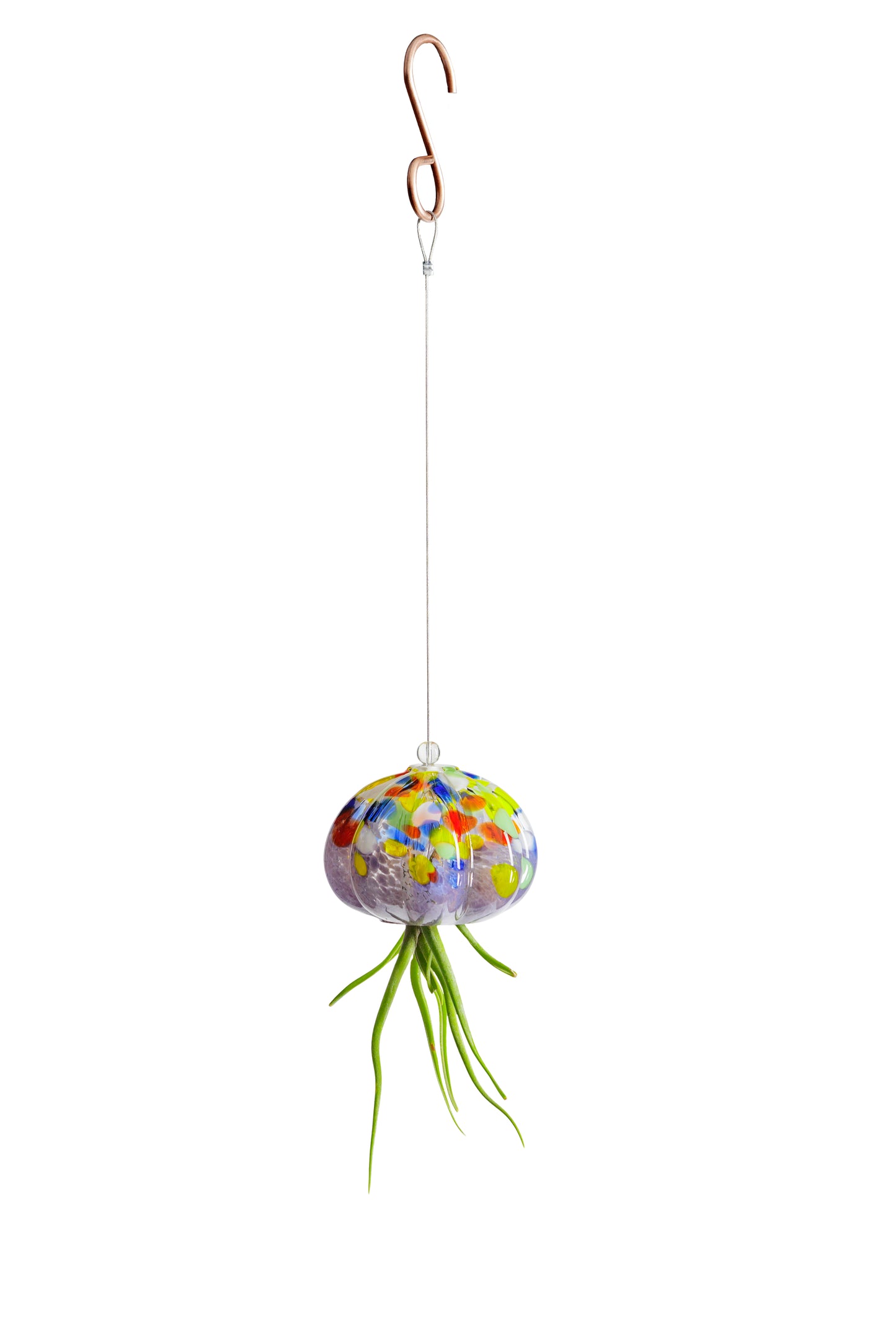 Cauliflower Jellyfish Air Plant Holder with optional air plant