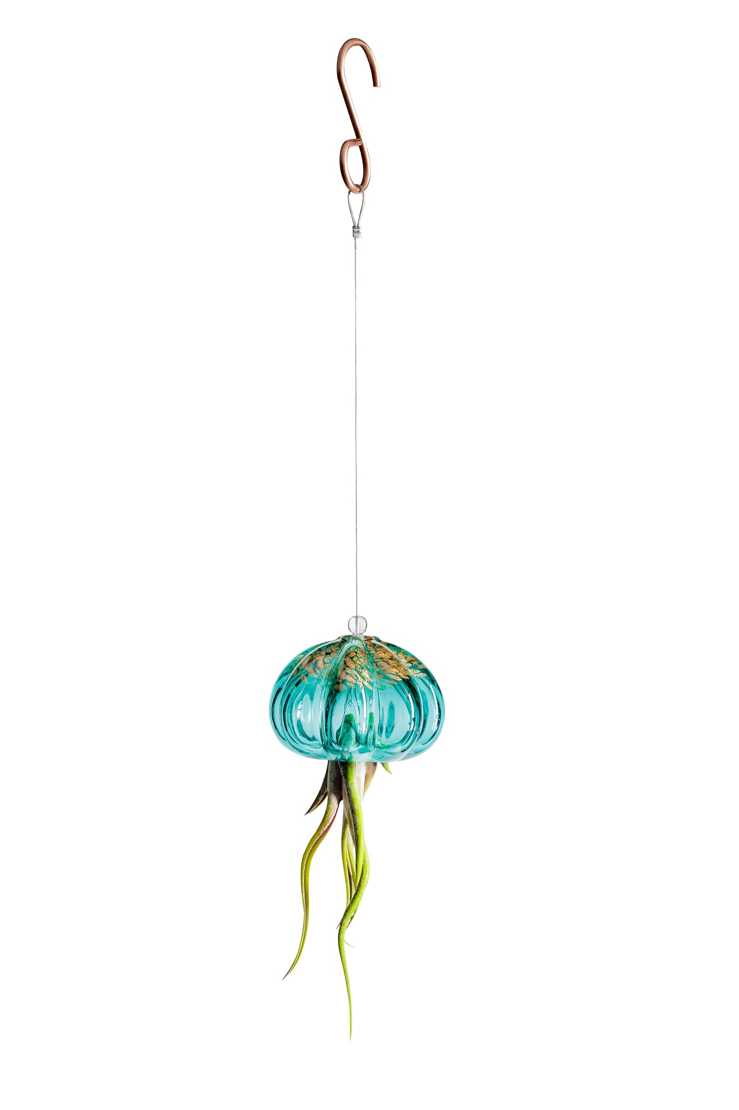 Cauliflower Jellyfish Air Plant Holder with optional air plant