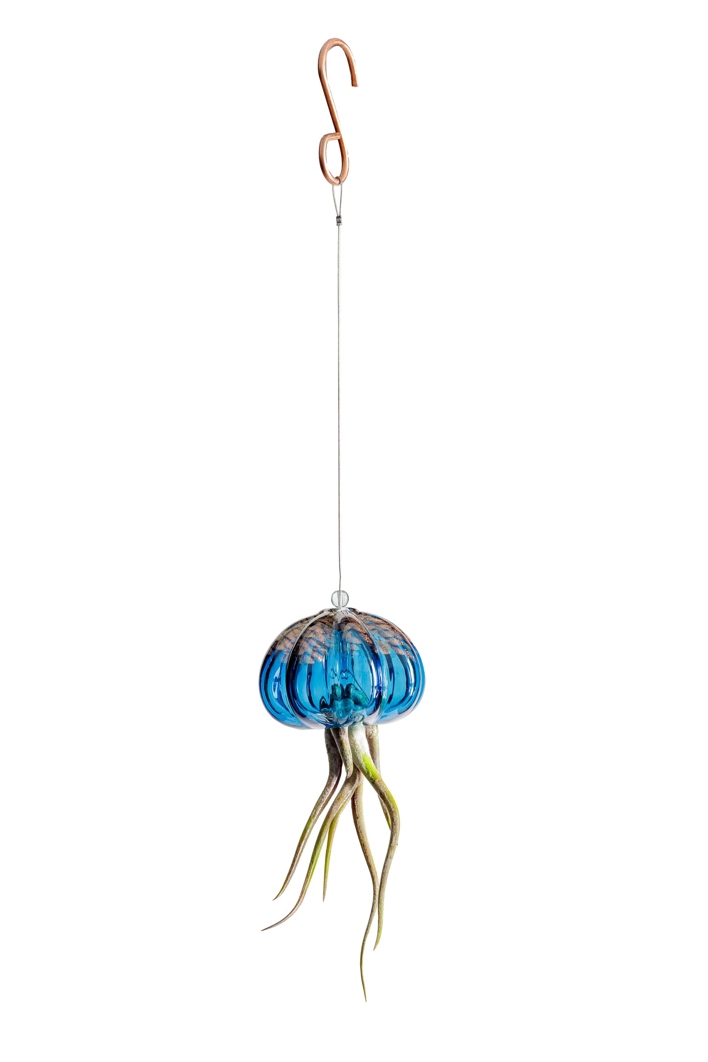 Cauliflower Jellyfish Air Plant Holder with optional air plant