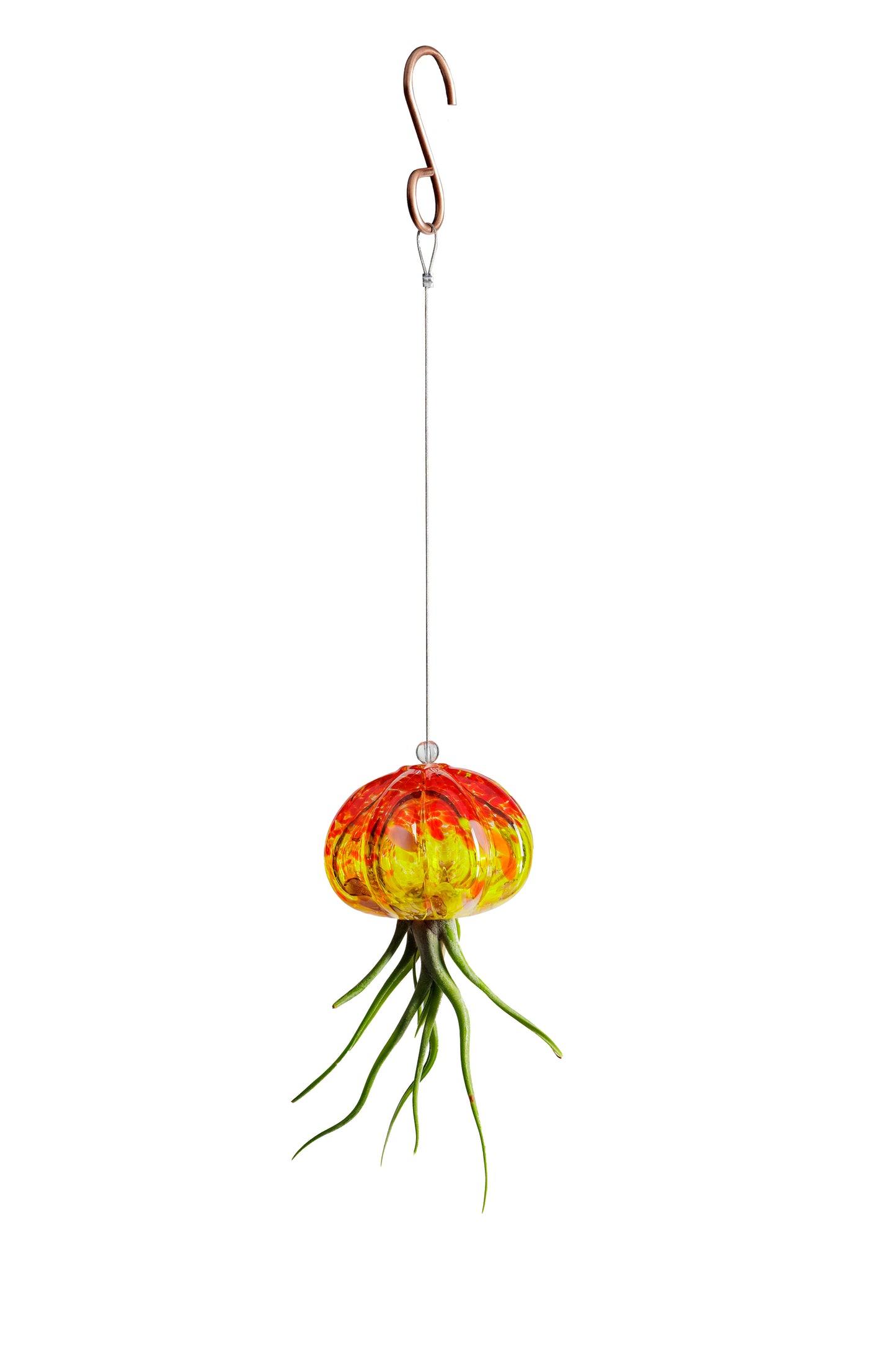 Cauliflower Jellyfish Air Plant Holder with optional air plant