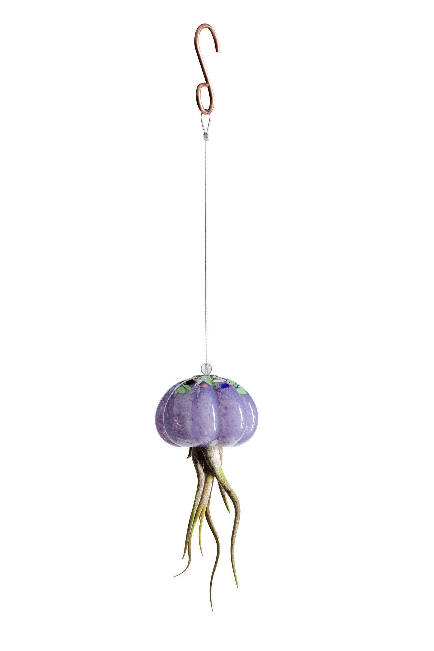Cauliflower Jellyfish Air Plant Holder with optional air plant