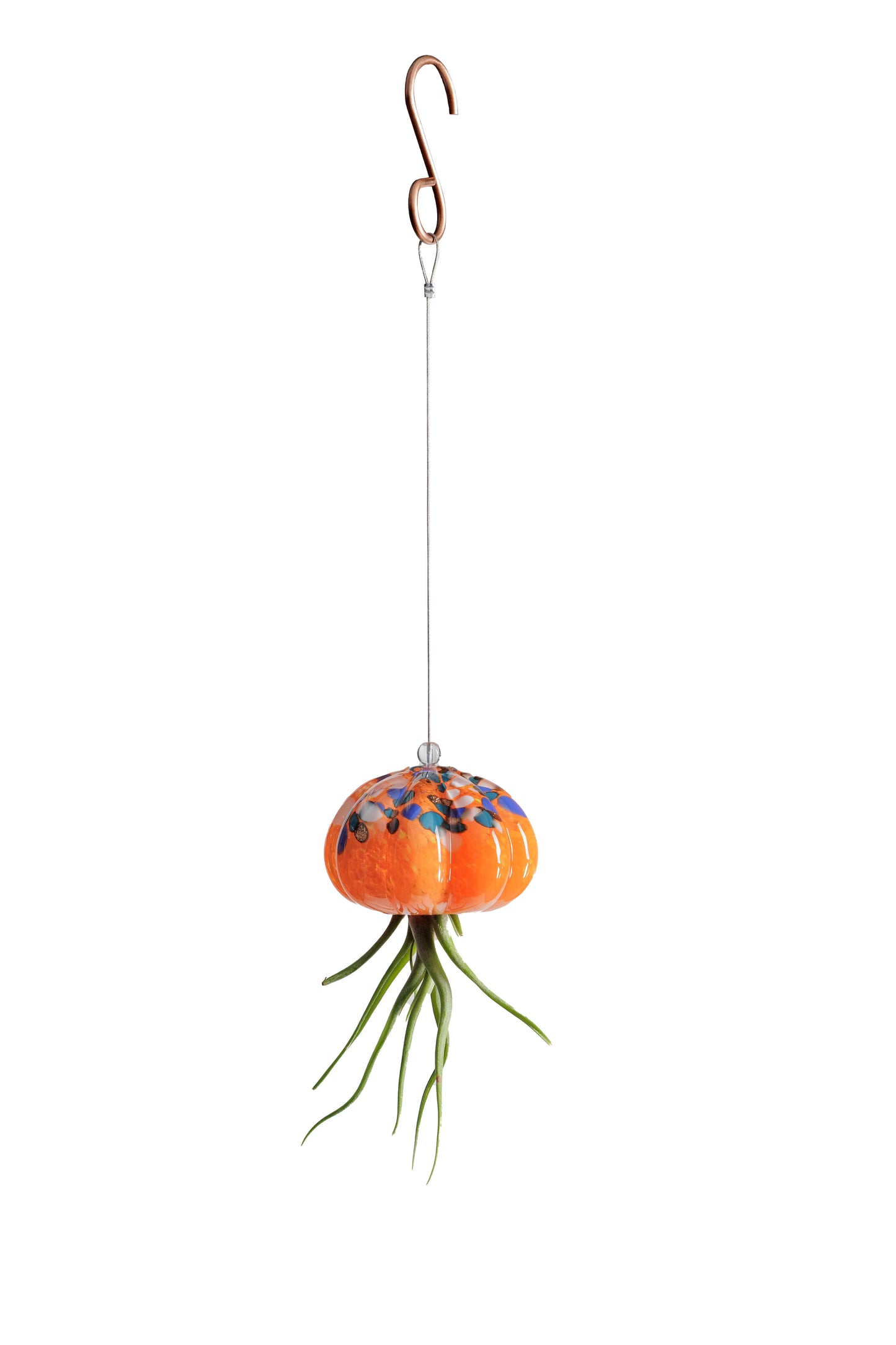 Cauliflower Jellyfish Air Plant Holder with optional air plant