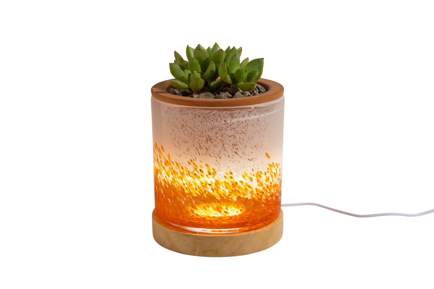 4.5" Art Glass Self Watering Planter with LED wood base