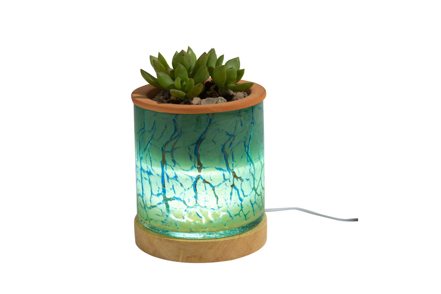 4.5" Art Glass Self Watering Planter with LED wood base