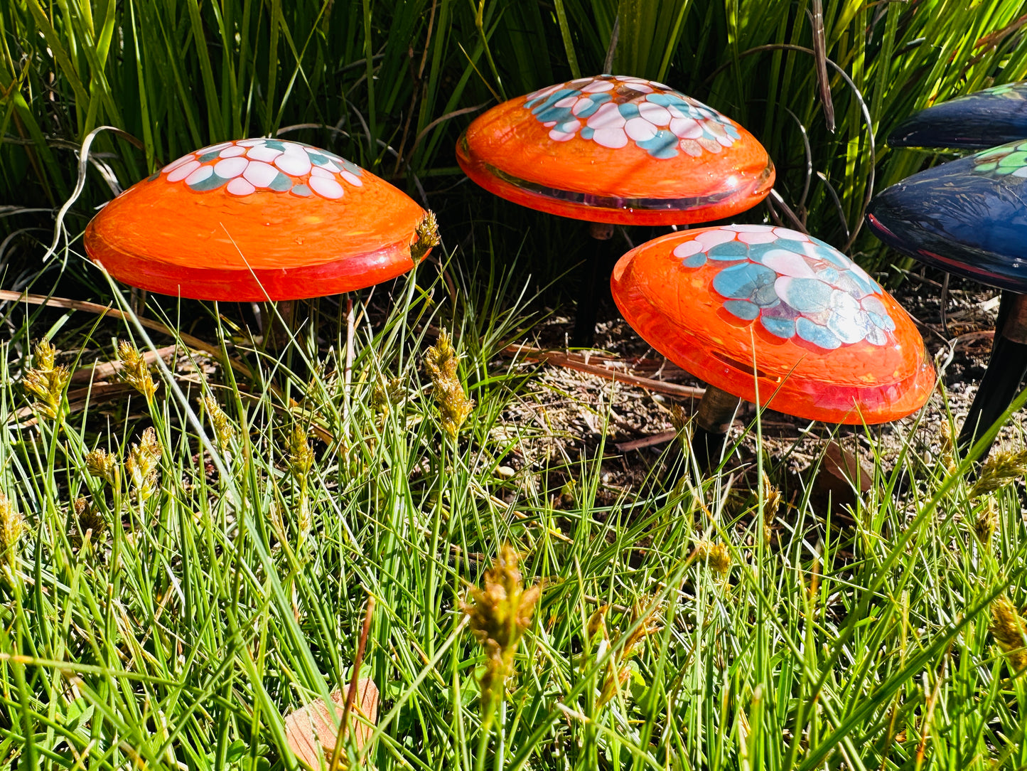 Chihuly inspired Art Glass Mushrooms (3 size)