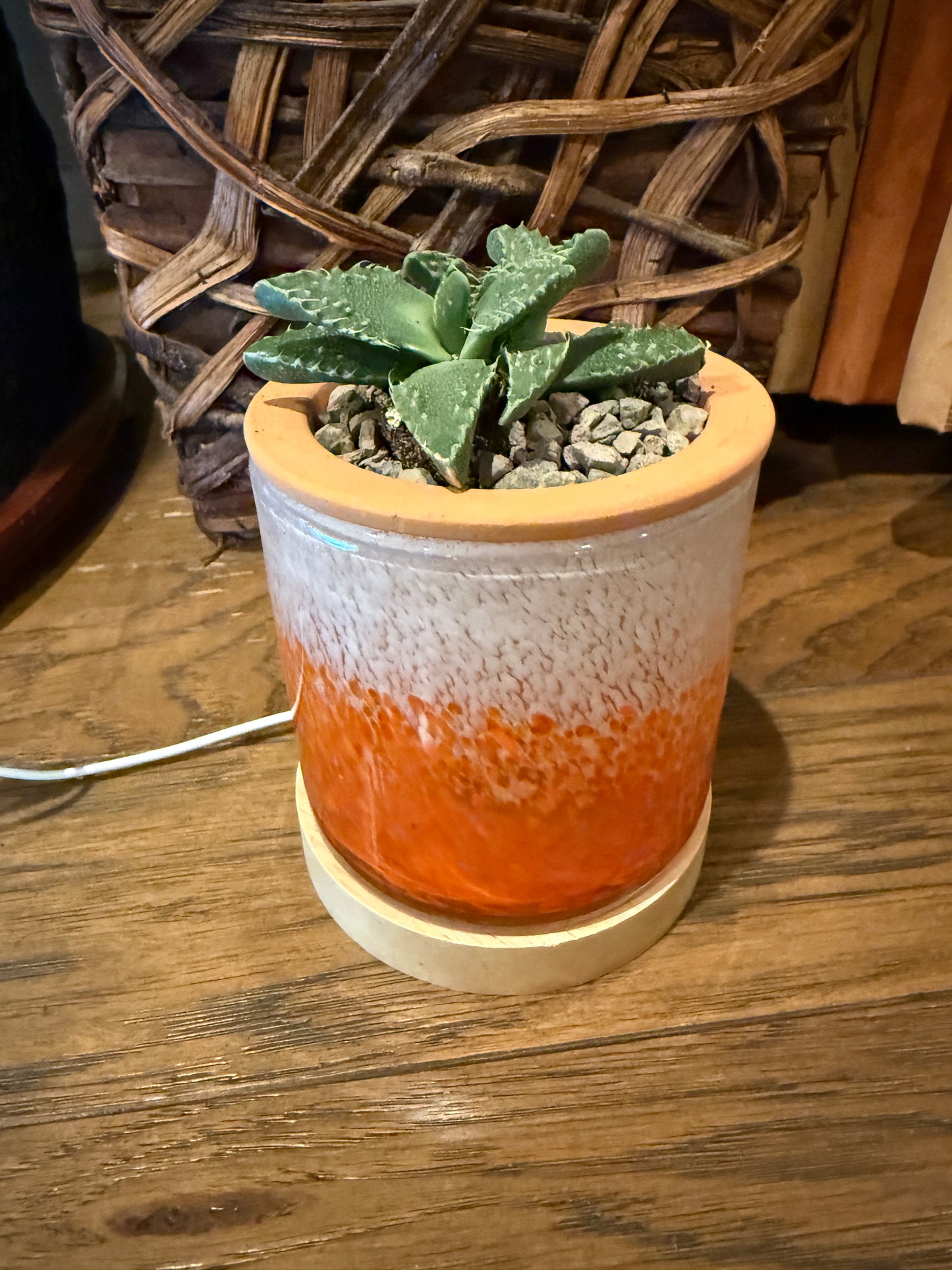 4.5" Art Glass Self Watering Planter with LED wood base