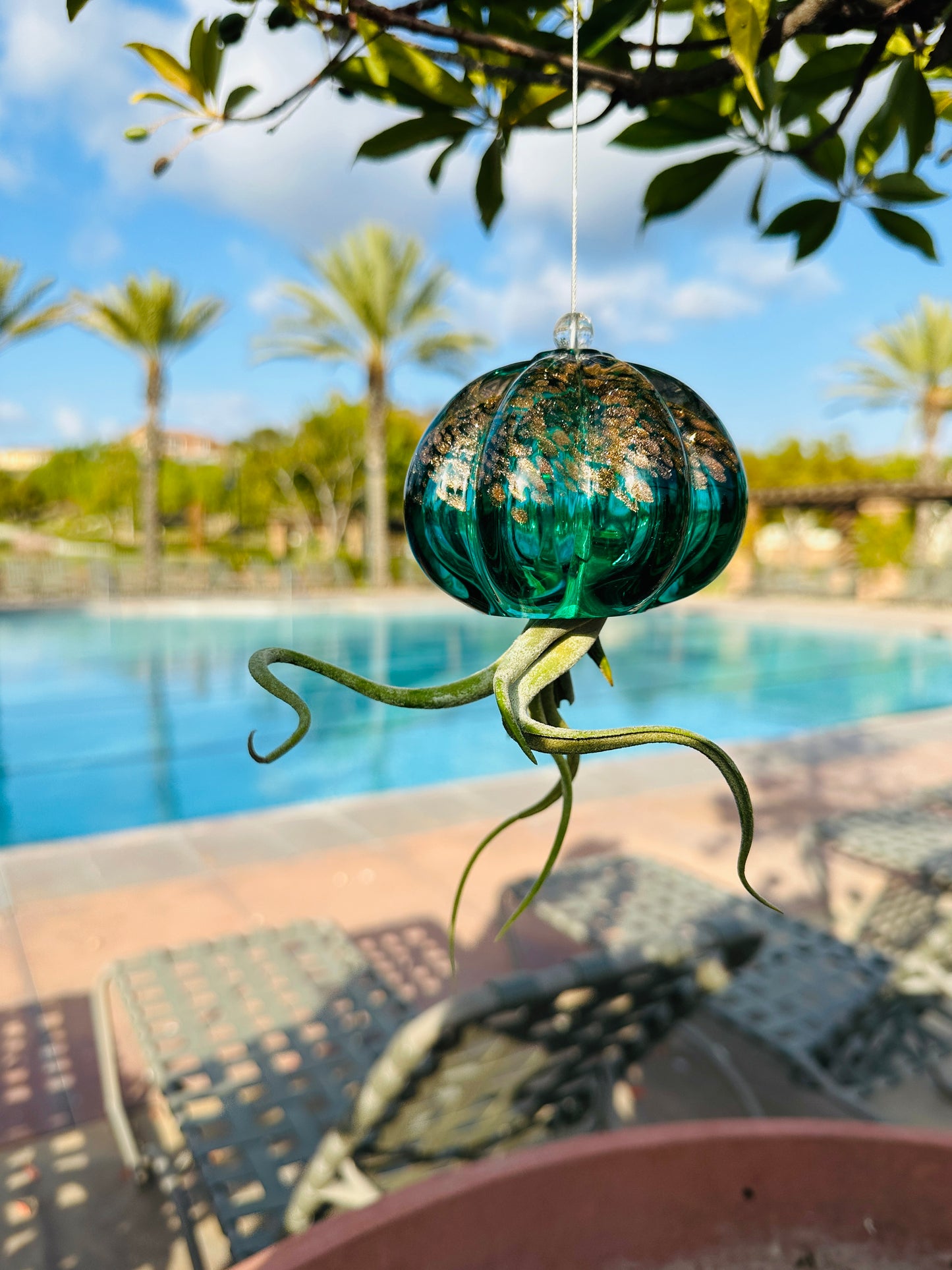 Cauliflower Jellyfish Air Plant Holder with optional air plant