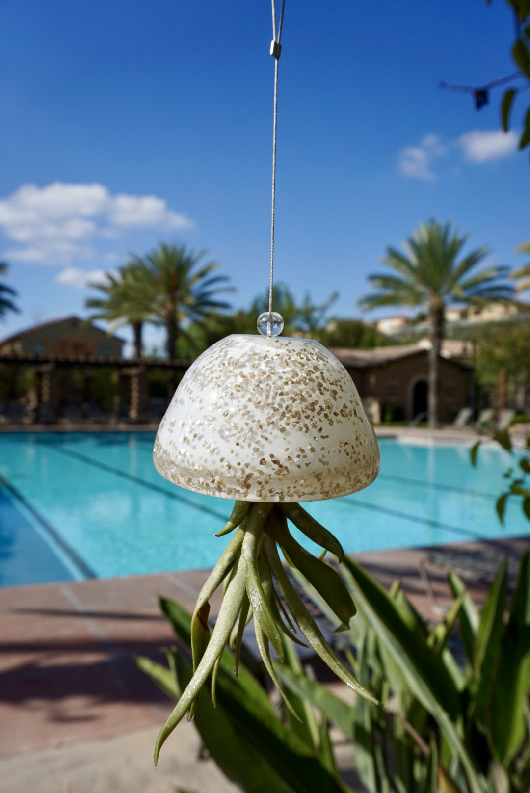 Hand Blown Art Glass Jellyfish with Optional Life Air Plant/Tillandsia