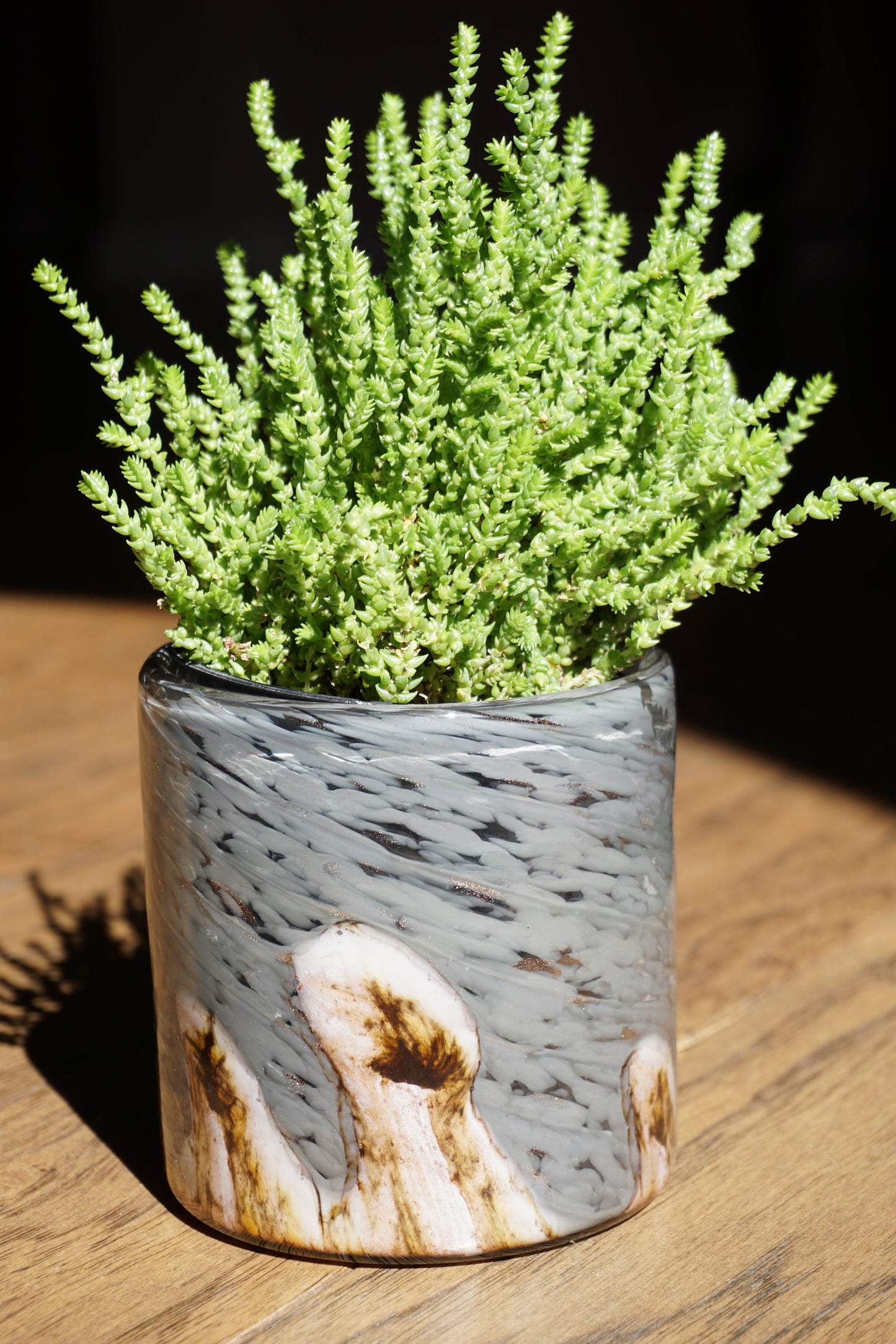 Free US Shipping~ Set of 2, 4.5" Succulent Planter, Handblown Art Glass Planter Wave Collection