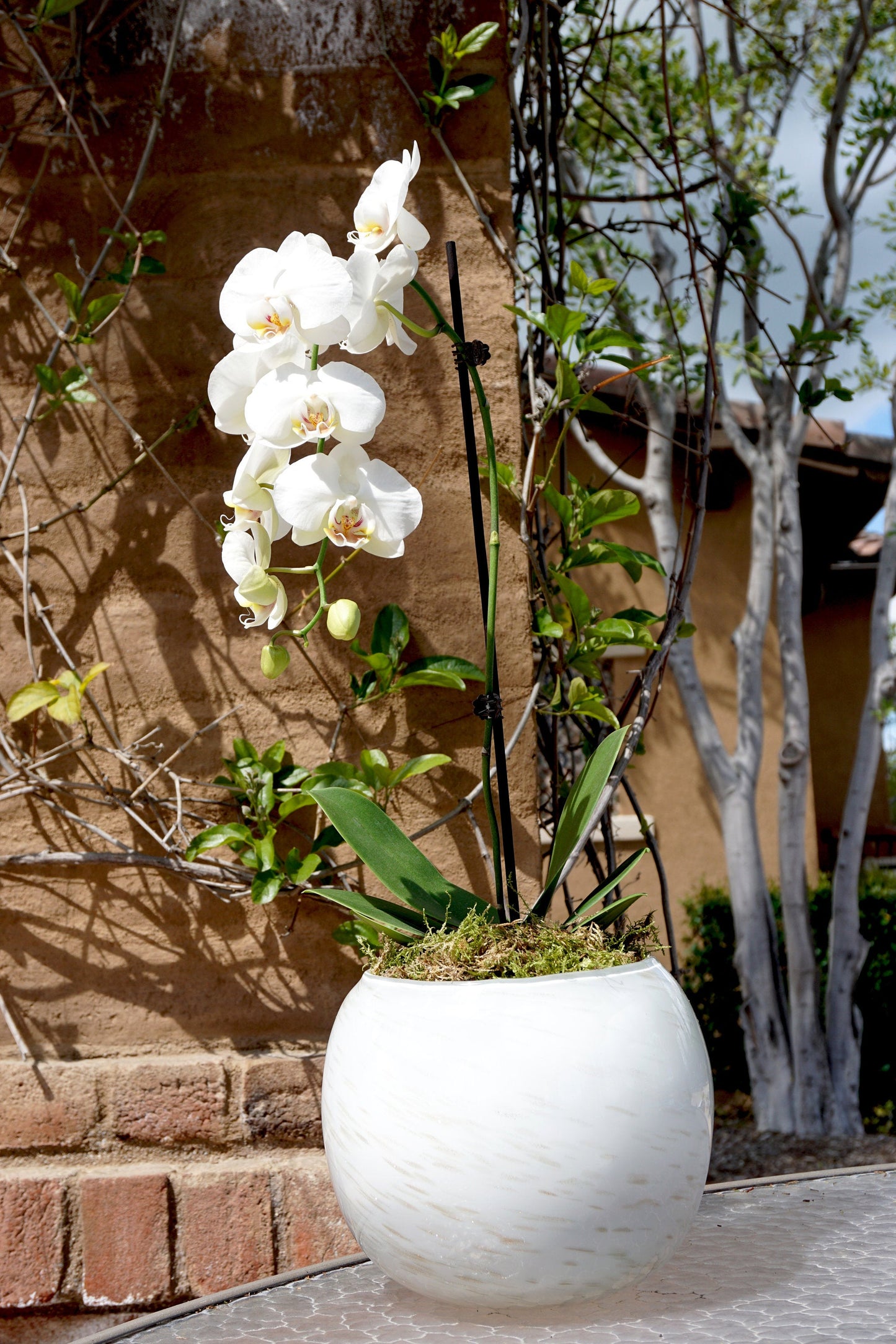 8" Artistic Planter, Handblown Art Glass Succulent Rose Ball/Planter/Vase/Candle holder, Pearl White w Gold Dust,