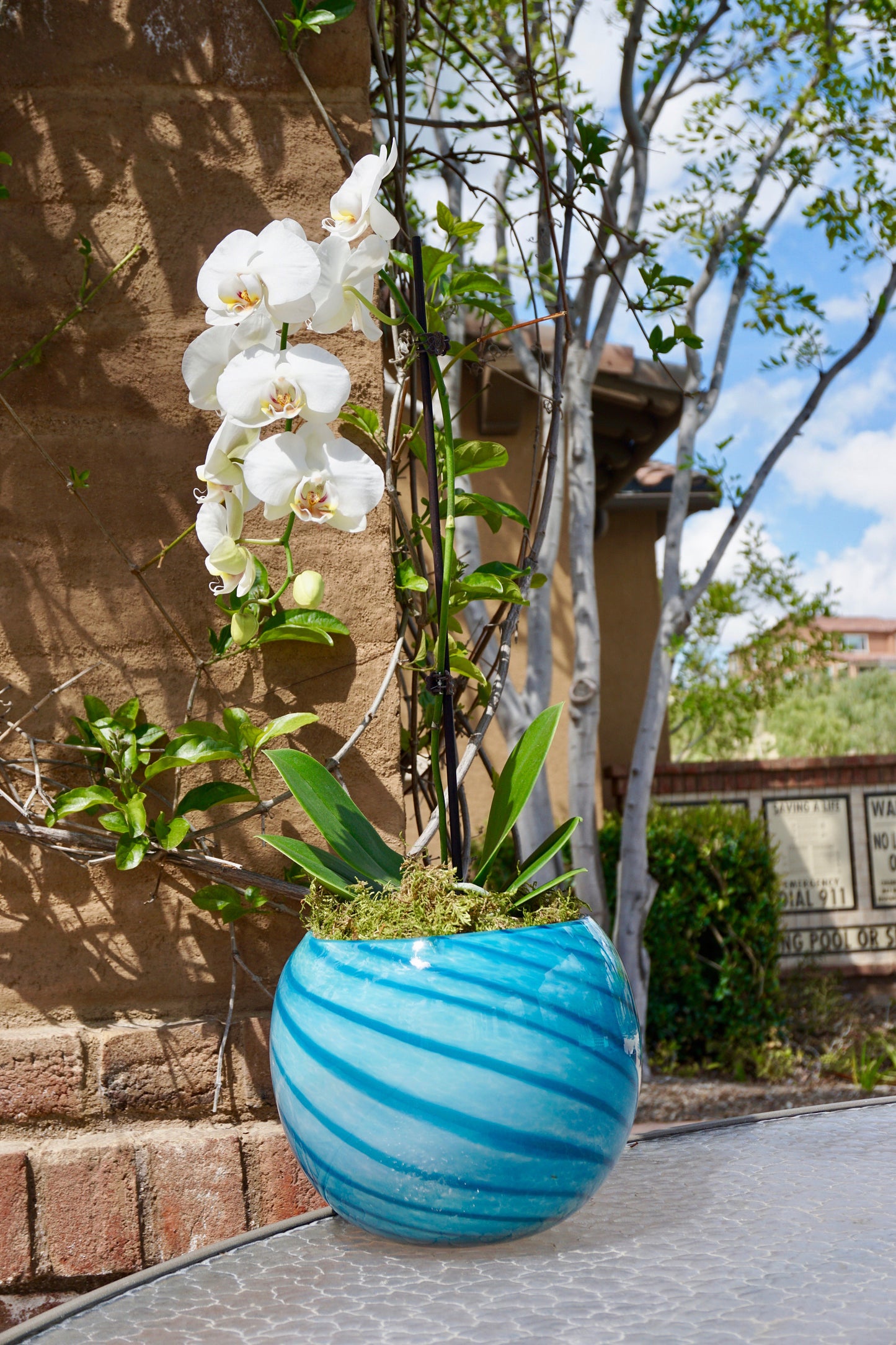 8" Artistic Planter, Handblown Art Glass Succulent Rose Ball/Vase/Candle holder, Teal Swirl w Gold Dust