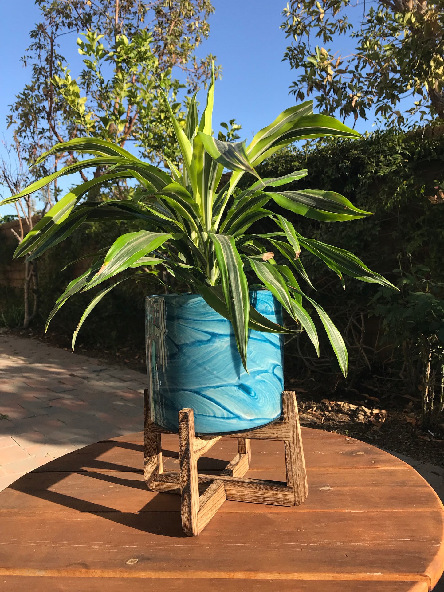 Hand Blown 8" Art Glass Planter on Wood Stand