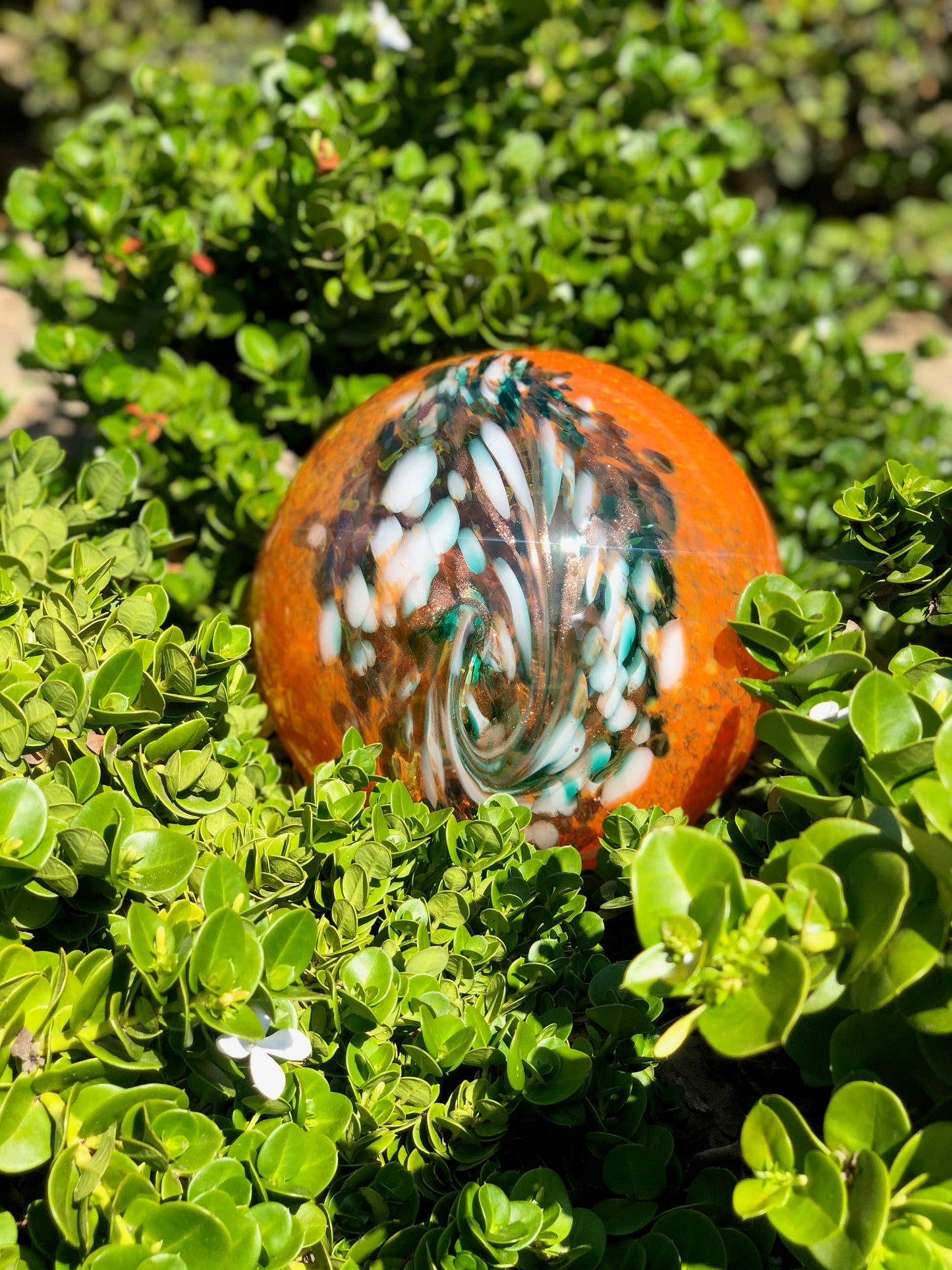 6“/10" Solar LED Gaze Ball Peacock/Garden/Pathway Light/Patio Table Light/Sun Cather/Art Glass