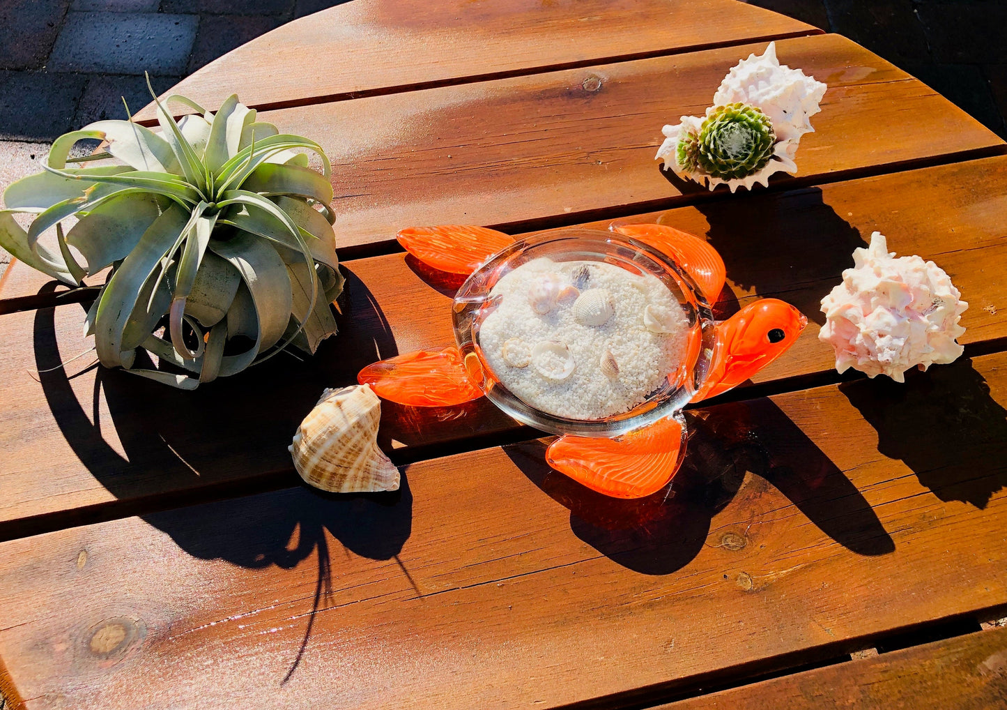 10" Handblown art glass Sea Turtle Decor with natural sea shell and sand