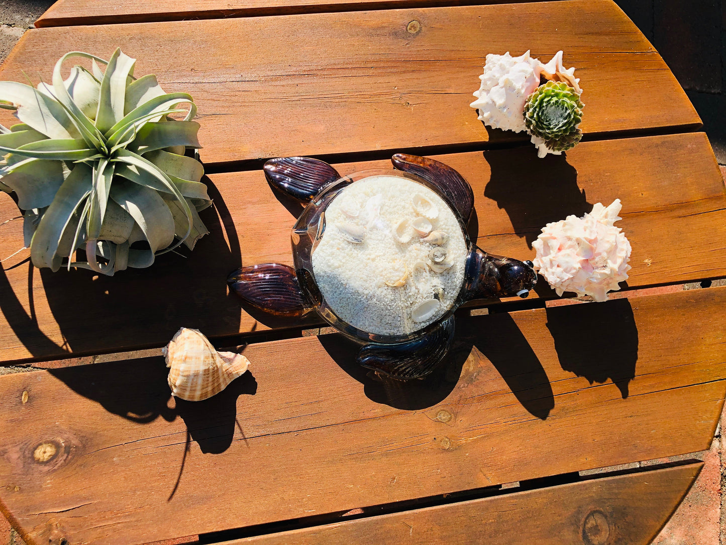 10" Handblown art glass Sea Turtle Decor with natural sea shell and sand