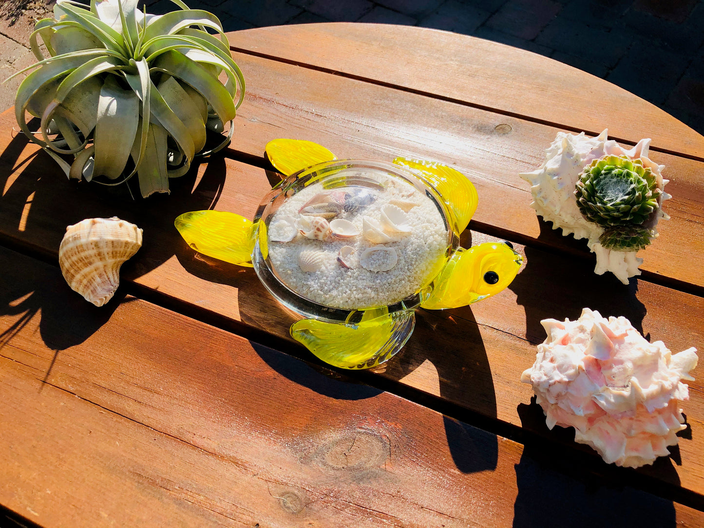 10" Handblown art glass Sea Turtle Decor with natural sea shell and sand