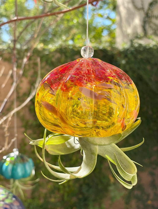 Cauliflower Jellyfish Air Plant Holder with optional air plant